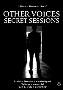 Other Voices Secret Sessions